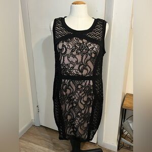 Black Overlay Lace Sleeveless Dresss